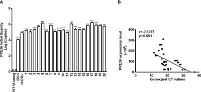 Mycobacterial PPE36 Modulates Host Inflammation by Promoting E3 Ligase Smurf1-Mediated MyD88 Degradation